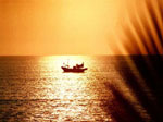 Un barco navegando al atardecer, con la silueta de una hoja de palmera